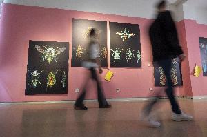 Städtische Museen Freiburg: Von der Steinzeit bis zur Gegenwart